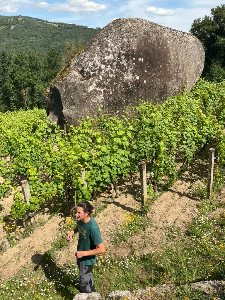 Viñedo de A Barouta junto a una roca de granito, Ribeiro