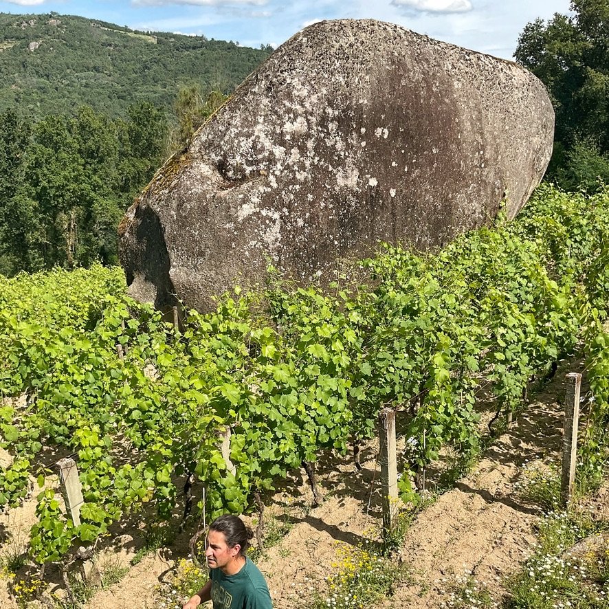 Viñedo de Adega A Barouta junto a la gran roca de granito de O Penedo, en el valle del Avia
